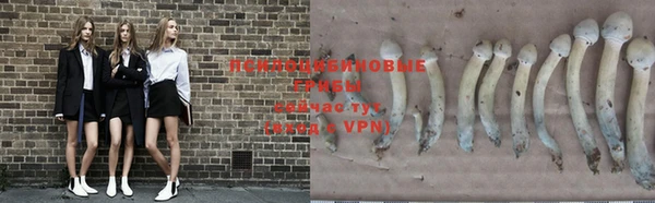MDMA Premium VHQ Белокуриха