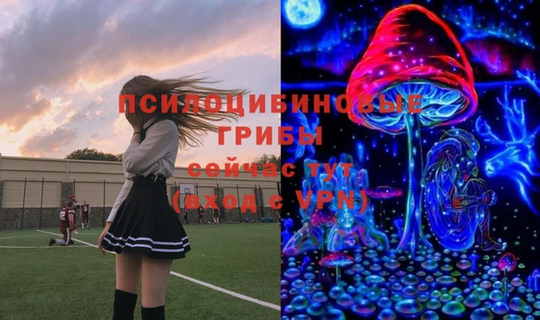 MDMA Premium VHQ Белокуриха