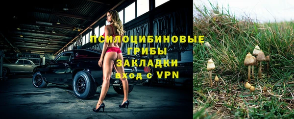 стафф Беломорск