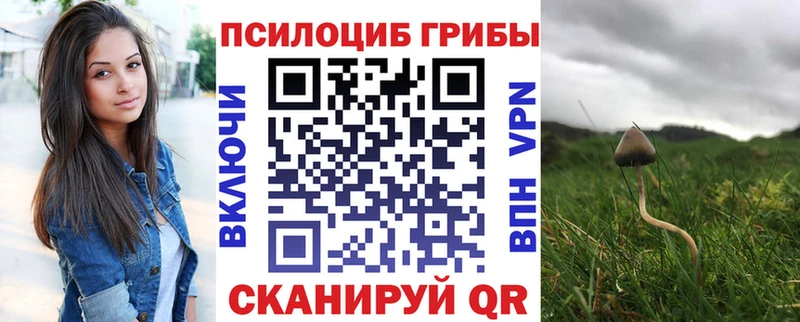 Псилоцибиновые грибы мицелий купить наркотики сайты Короча